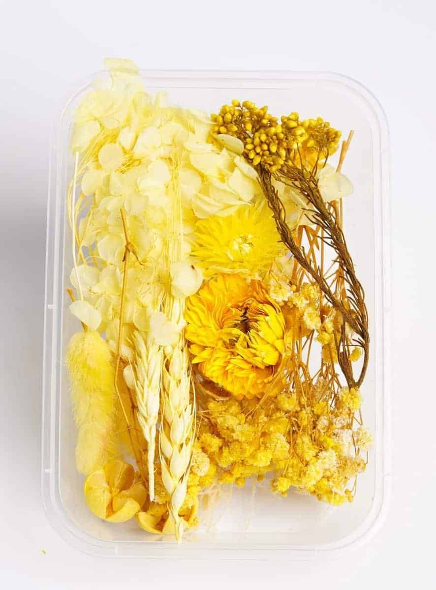 اصفر علب بكج ورد طبيعي مجفف - اصفر - الصورة 1