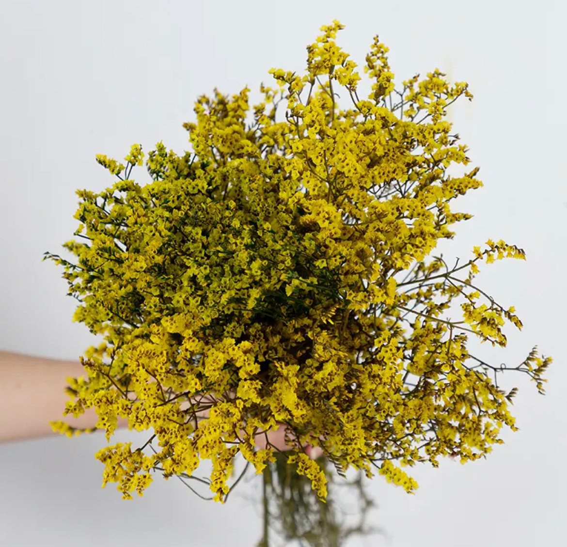 yellow-crystal-dried-flower ورد مجفف - ضمة زهرة ستاتيس -اصفر - الصورة 1