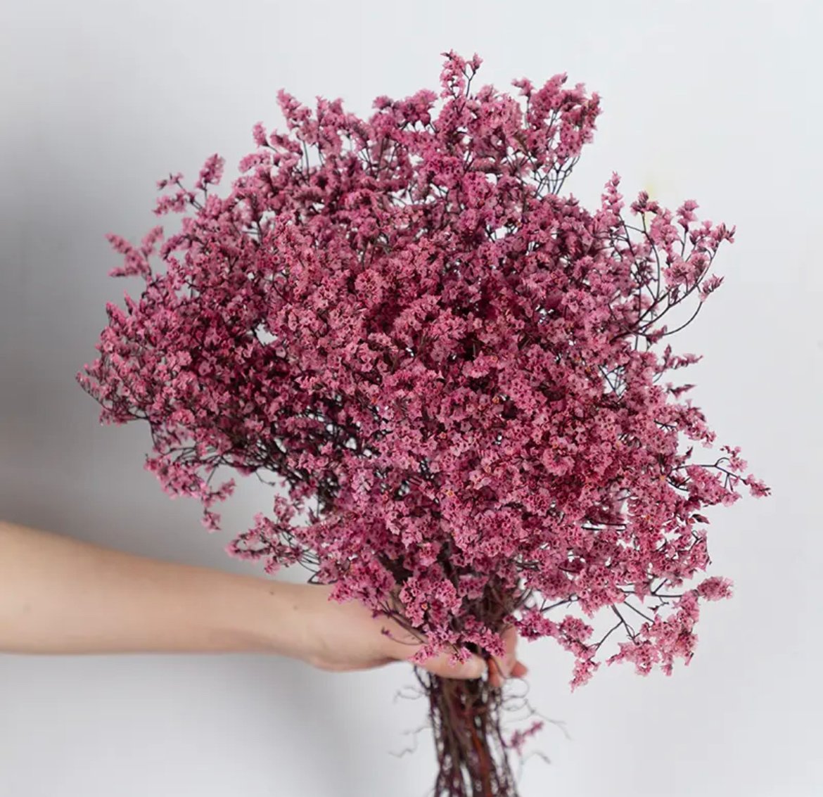 pink -crystal-dried-flower ورد مجفف -ضمة زهرة ستاتيس -زهري - الصورة 1