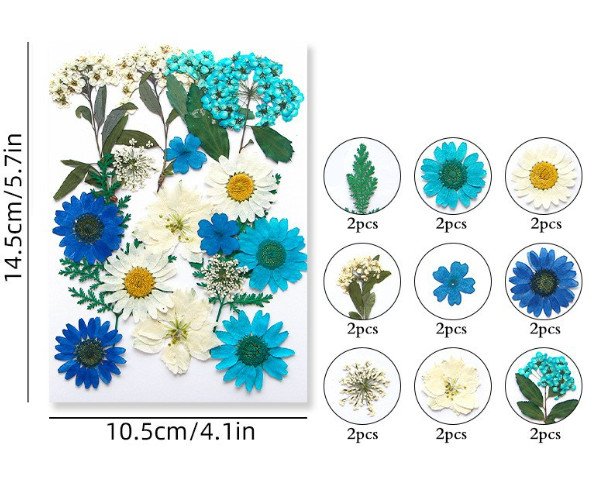 blue mix كرت ورد مجفف مضغوط - مشكل - ازرق - الصورة 1