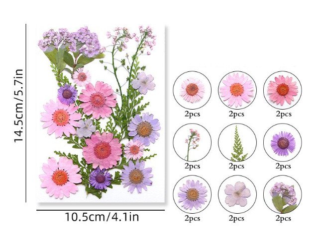 pink and purple mix كرت ورد مجفف مضغوط - مشكل - زهري وبنفسجي - الصورة 1