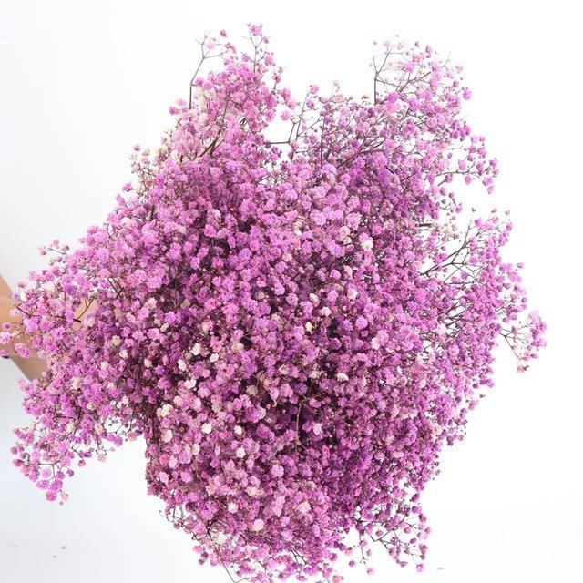 purple bouquet-snow-flower ورد مجفف - ضمة ورد الثلج - بنفسجي - الصورة 1