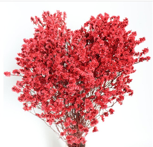 rose red ورد مجفف - ضمة زهرة ستاتيس - احمر - الصورة 1