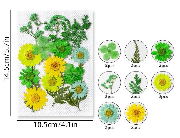 yellow and green mix كرت ورد مجفف مضغوط - مشكل - اصفر واخضر - الصورة 1