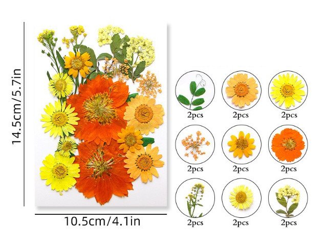 yellow and orange mix كرت ورد مجفف مضغوط - مشكل - اصفر وبرتقالي - الصورة 1