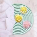 T662 - قالب سيلكون كوستر دائري- قطر 25 سم